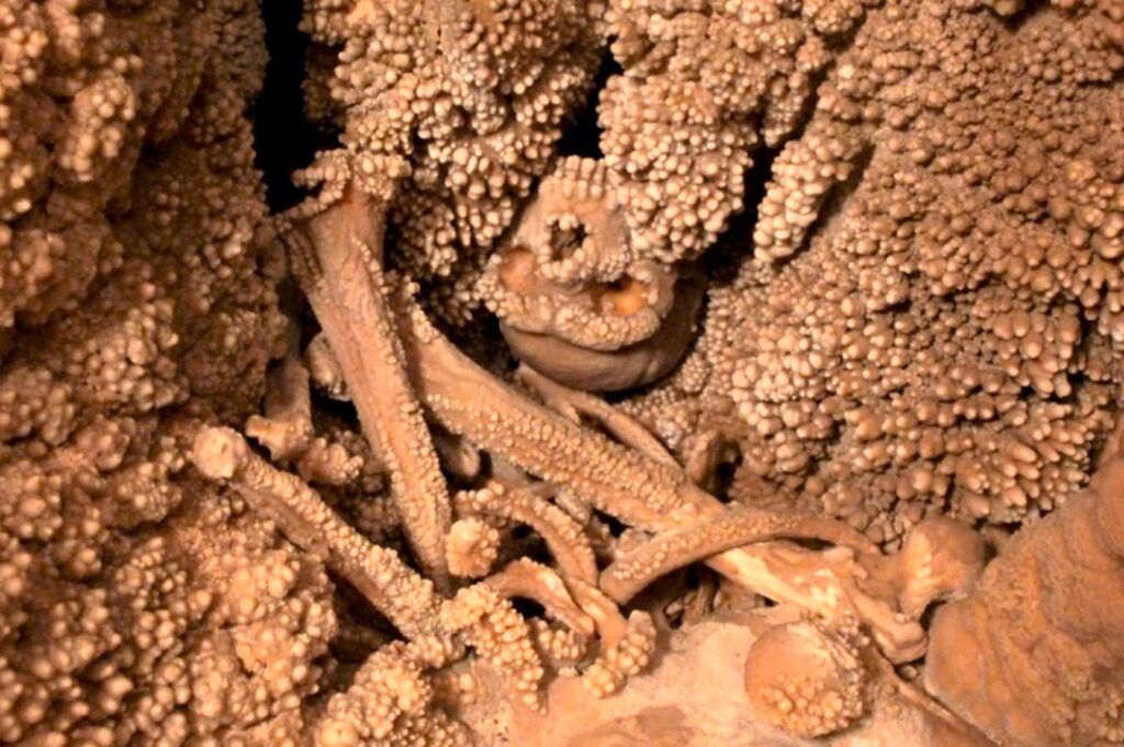 Altamura skeleton, displaying the same type of popcorn coralloid concretions. The two specimens are located in two separate parts of the cave. Not in scale. Photos by CB.