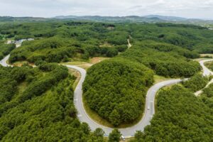 A forest farm is being seen in Bijie, China, on May 31, 2024. (Photo by Costfoto/NurPhoto via Getty Images)